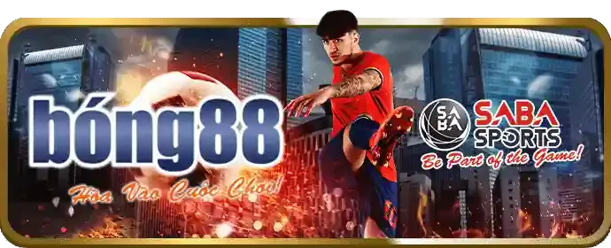 Nhà cung cấp thể thao 4